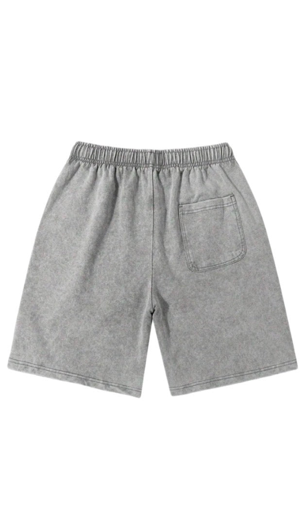 Jesus is the truth “Shorts”