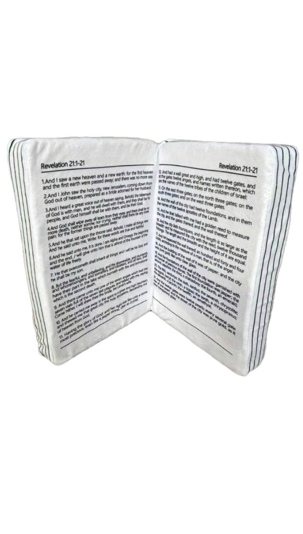 Bible verse Pillow/Plushie