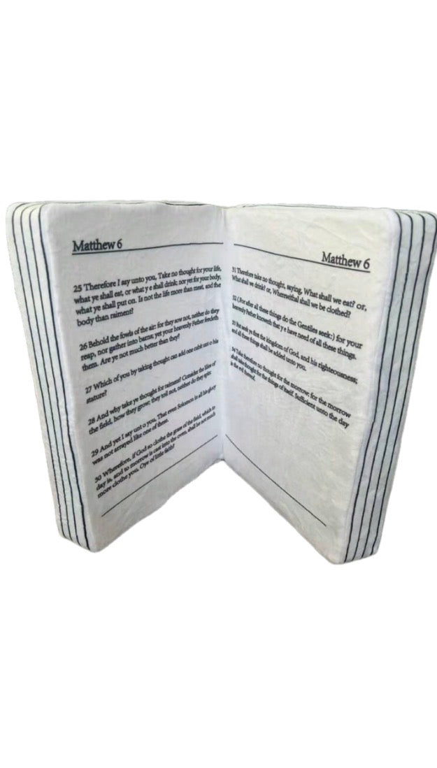 Bible verse Pillow/Plushie