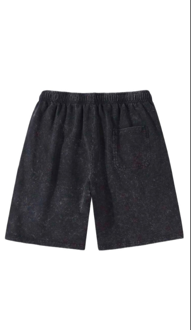 Jesus is the truth “Shorts”