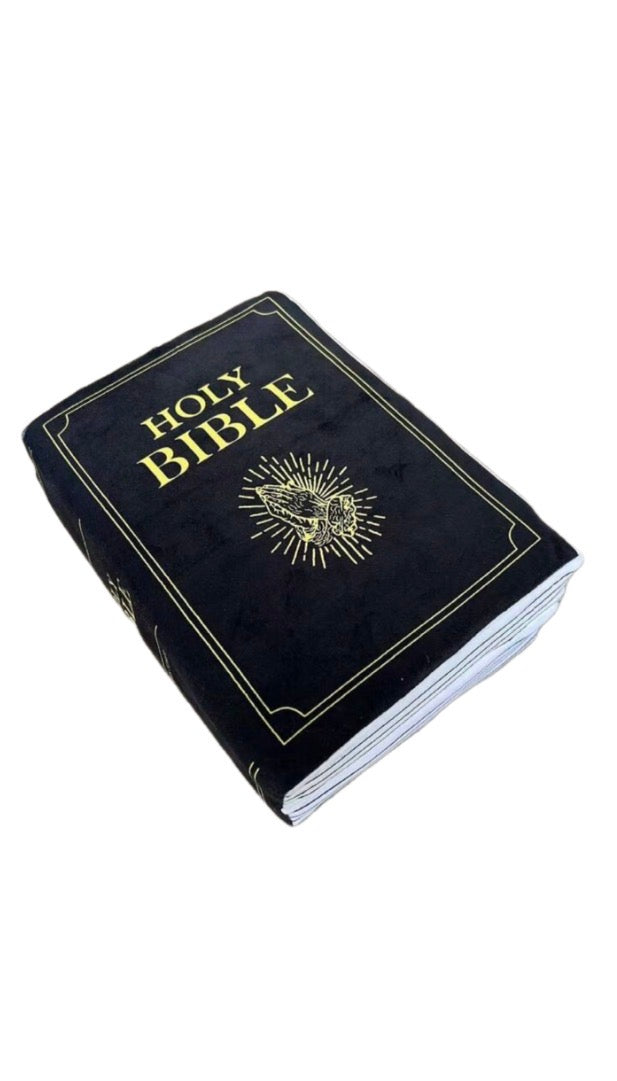 Bible verse Pillow/Plushie