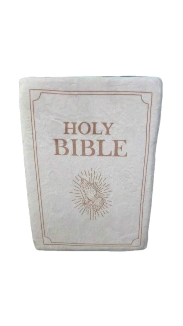 Bible verse Pillow/Plushie